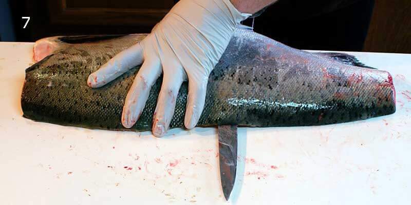 Knifestock BLOG - Kuidas õigesti lõhet fileerida